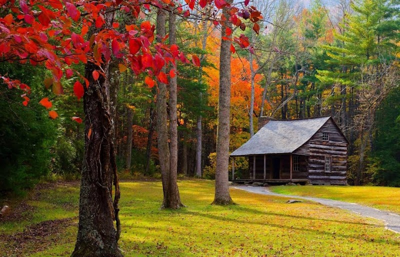 Photo 3 at Great Smoky Mountains National Park in 