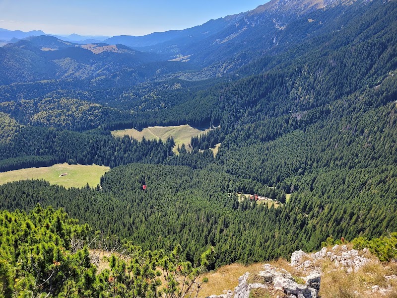 Photo 6 at Piatra Craiului National Park in Ciocanu