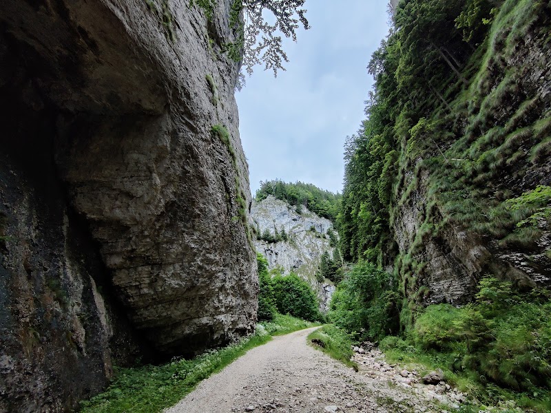 Photo 1 at Piatra Craiului National Park in Ciocanu