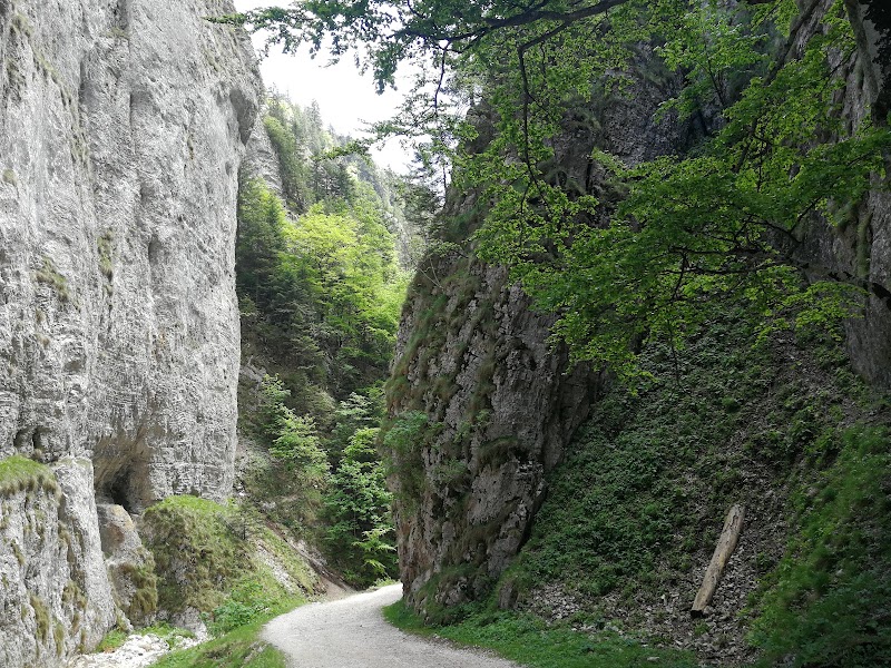 Photo 5 at Piatra Craiului National Park in Ciocanu