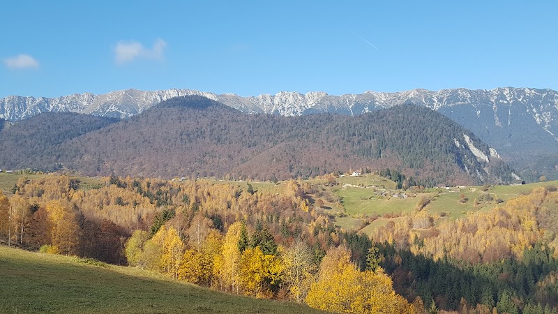 Photo 4 at Piatra Craiului National Park in Ciocanu