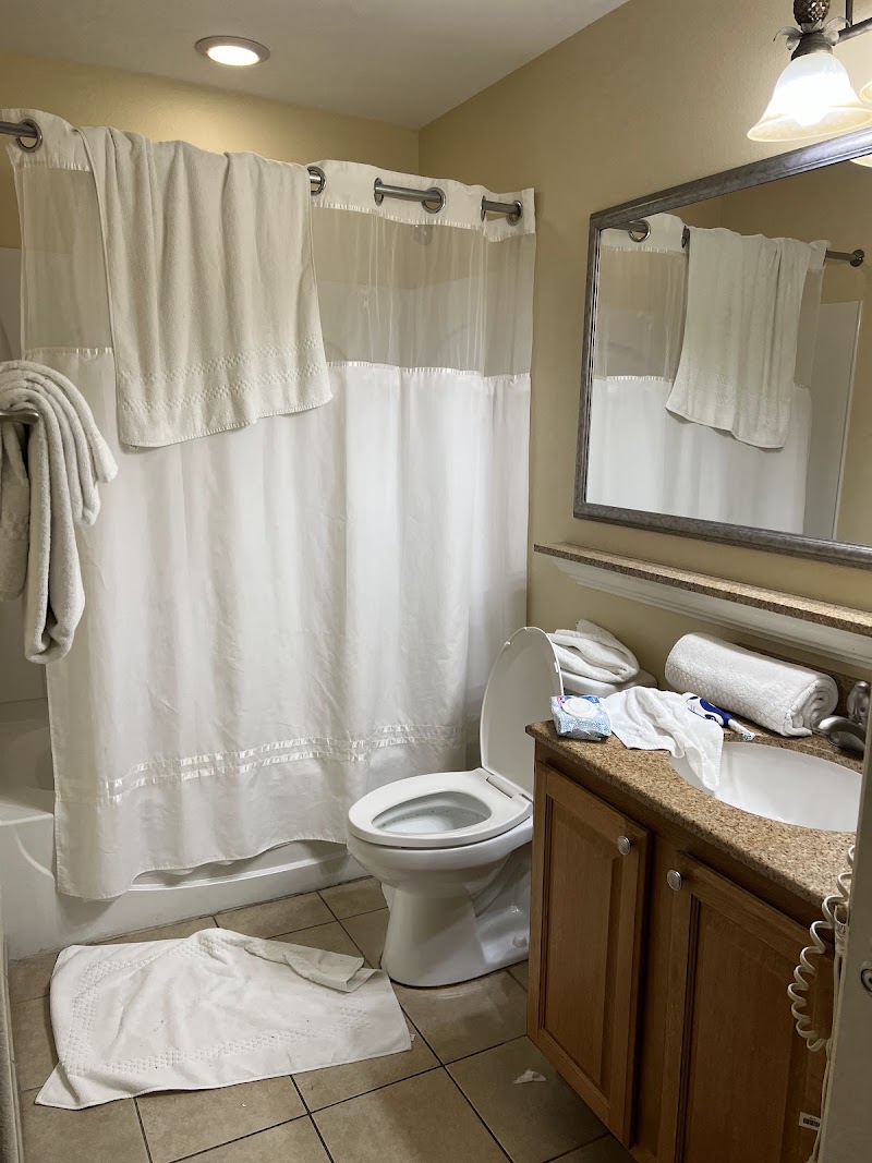 Photo 3 at Blue Heron Beach Resort in Orlando
