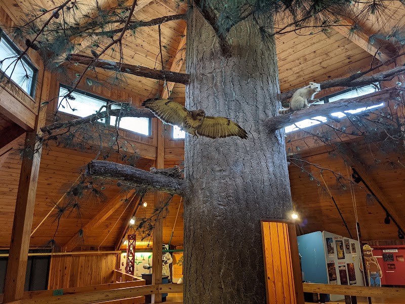 Photo 3 at Southern Forest World in Waycross