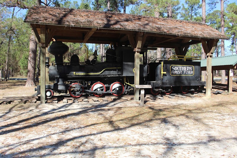 Southern Forest World in Waycross