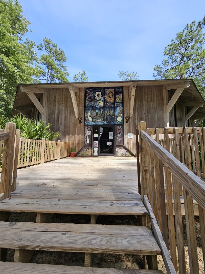 Photo 5 at Southern Forest World in Waycross