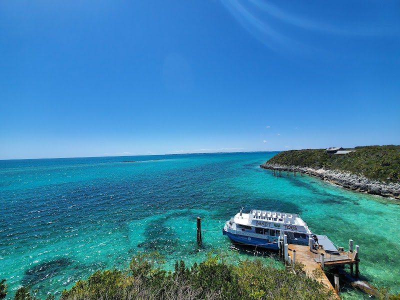 Photo 4 at Sandy Toes, Bahamas in 