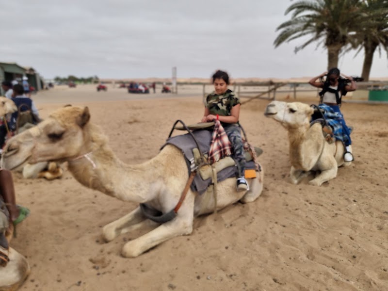 Photo 3 at Sand Waves Adventure in Swakopmund