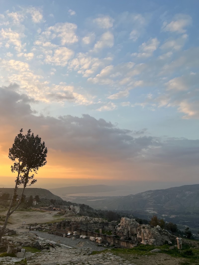 Photo 4 at Umm Qays in Umm Qais