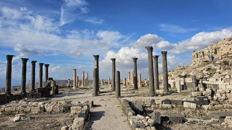 Umm Qays in Umm Qais
