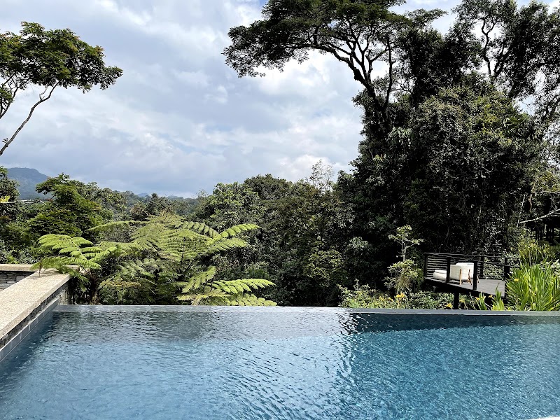 Photo 2 at Nyungwe Tea Forest, A Rare Finds Resort in 
