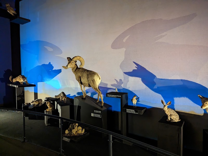 Photo 3 at Nevada State Museum, Las Vegas in Las Vegas