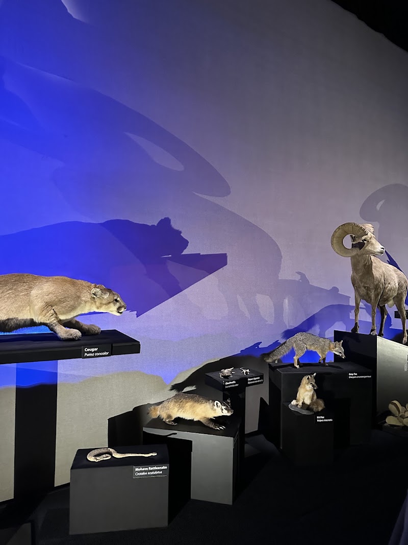 Photo 5 at Nevada State Museum, Las Vegas in Las Vegas