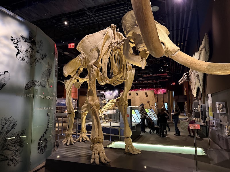 Nevada State Museum, Las Vegas in Las Vegas
