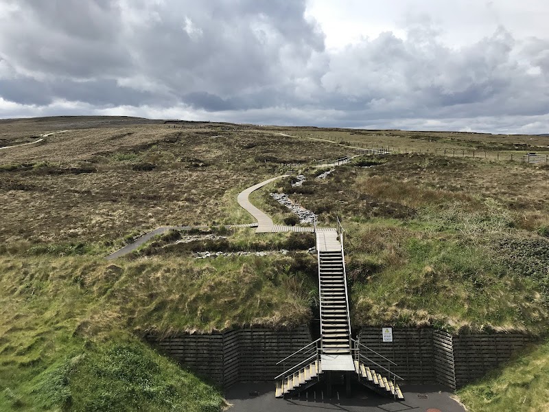 Photo 3 at Céide Fields in Glenurla