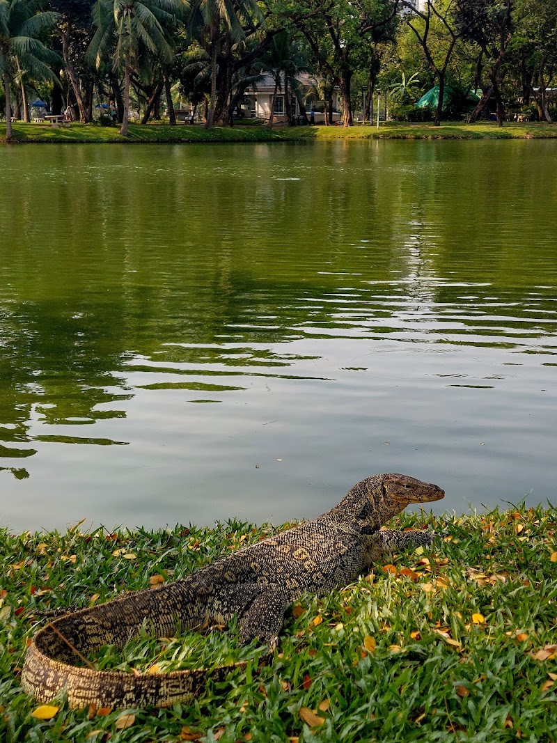 Photo 2 at Lumphini Park in Lumphini
