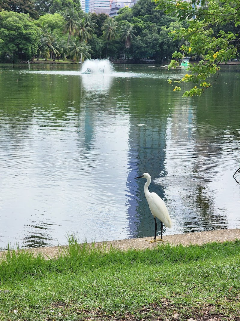 Photo 1 at Lumphini Park in Lumphini