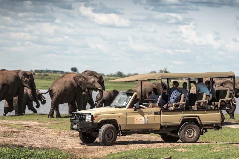Kalahari Tours in Kasane