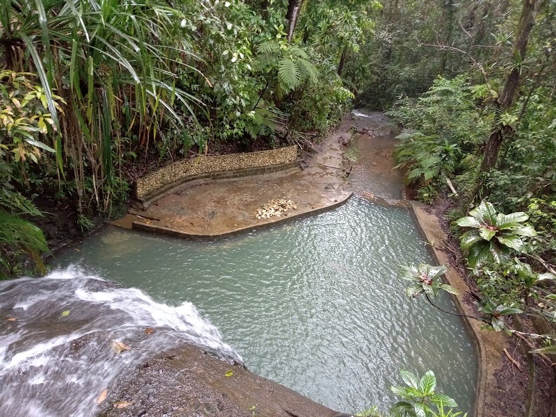 Photo 1 at Colo-I-Suva Forest Park in Nasinu