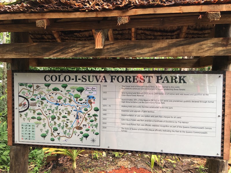 Photo 4 at Colo-I-Suva Forest Park in Nasinu