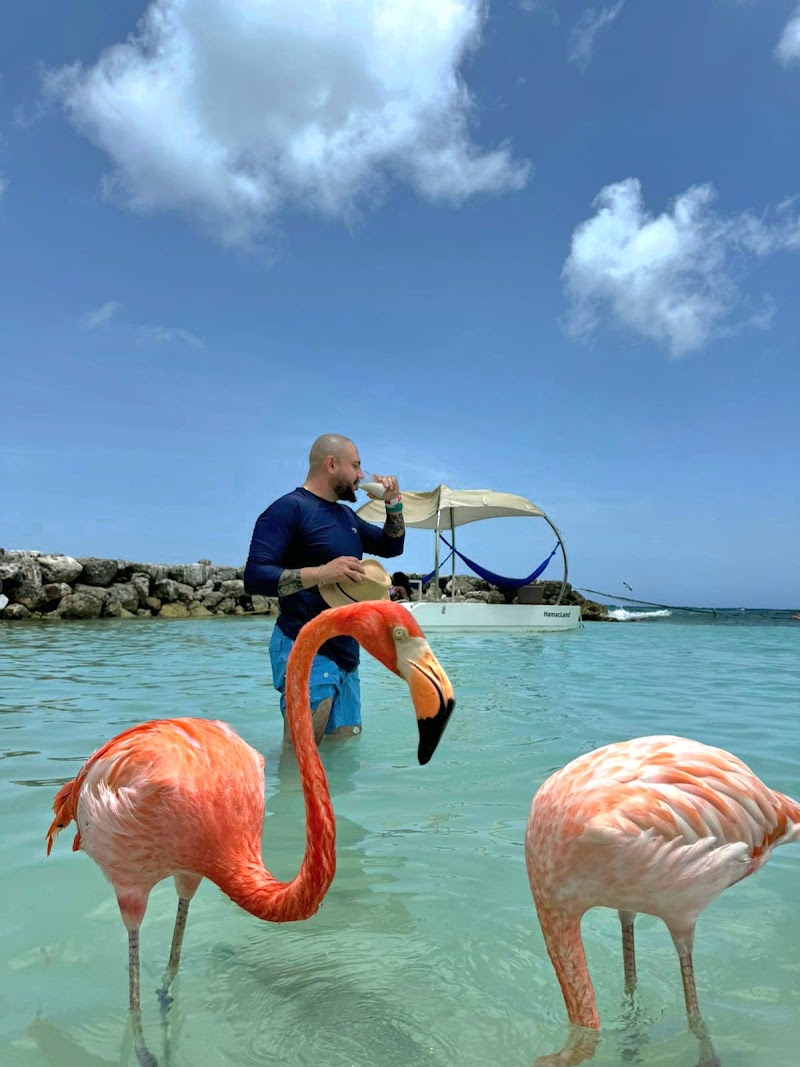 Photo 3 at De Palm Island in 