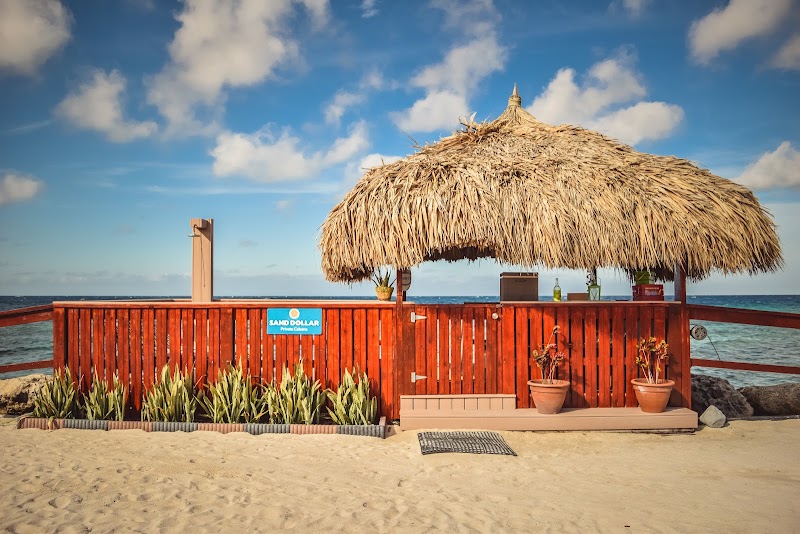 Photo 5 at De Palm Tours Aruba in Oranjestad