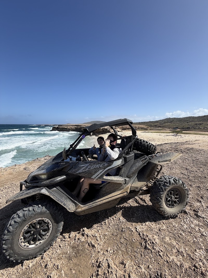 Photo 1 at De Palm Tours Aruba in Oranjestad