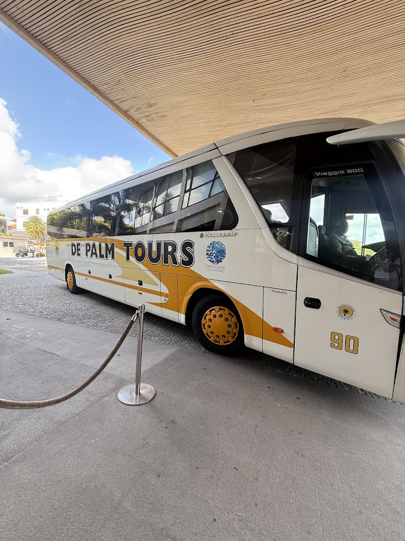 Photo 2 at De Palm Tours Aruba in Oranjestad