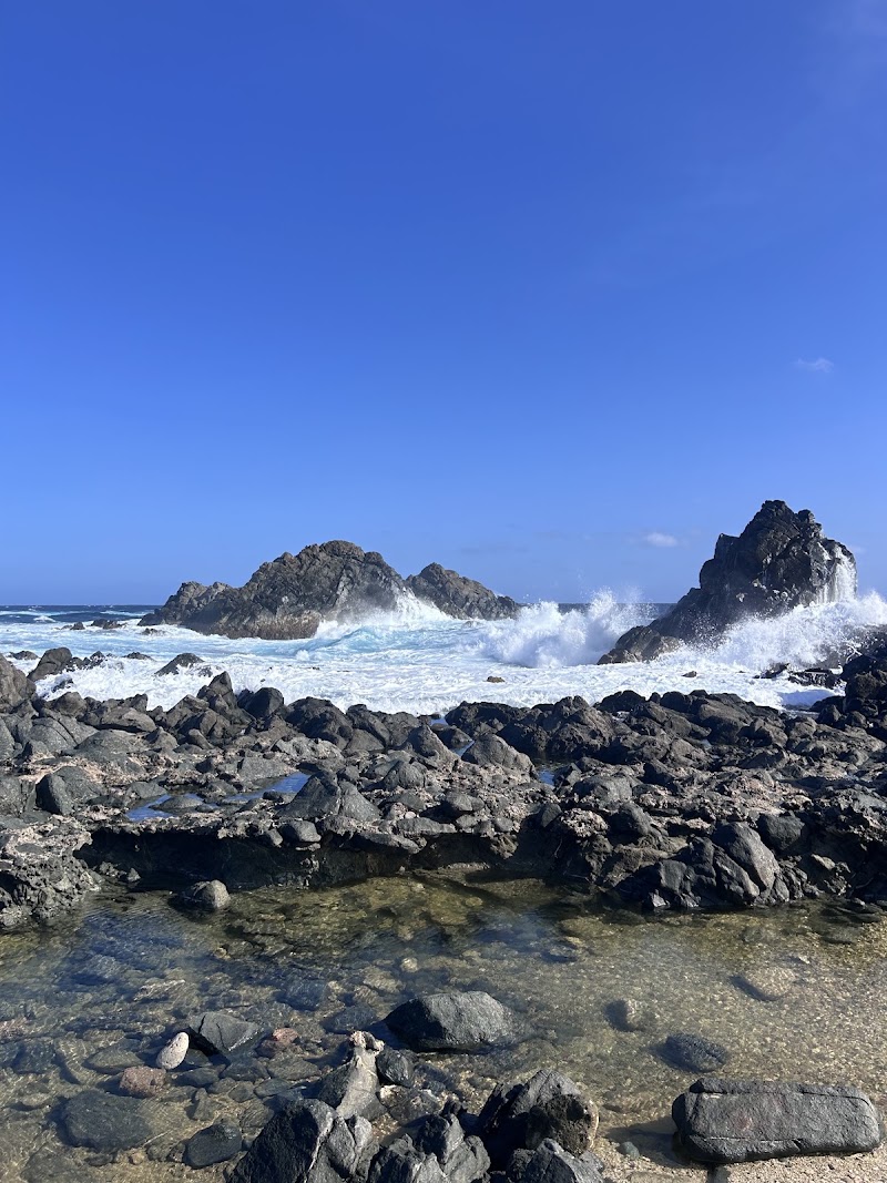 Photo 4 at De Palm Tours Aruba in Oranjestad
