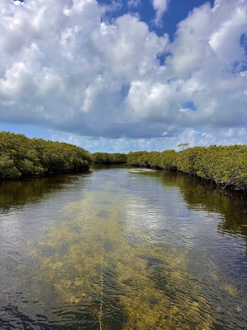 Photo 6 at Biscayne National Park Institute at Coconut Grove in Miami