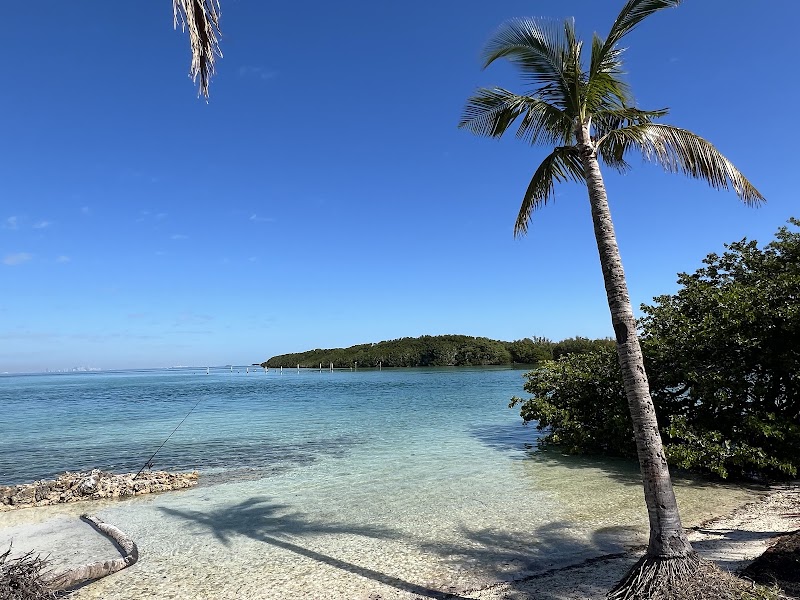 Photo 5 at Biscayne National Park Institute at Coconut Grove in Miami
