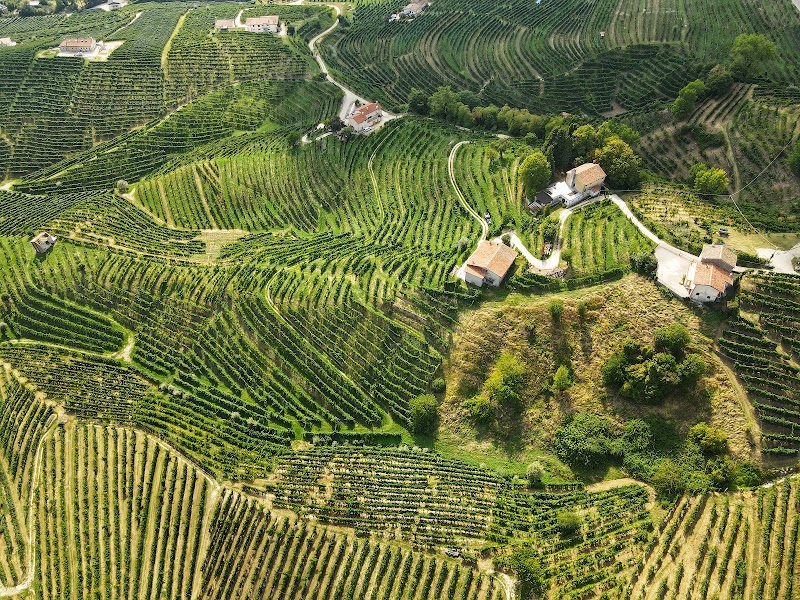 Colline del Prosecco di Valdobbiadene e Conegliano in Valdobbiadene