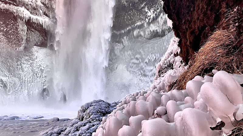Travelling Iceland in Reykjavík