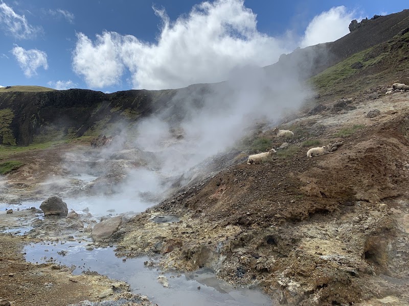 Photo 4 at Travelling Iceland in Reykjavík