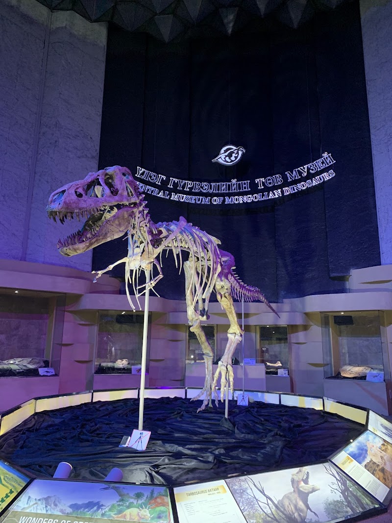 Photo 1 at National Museum of Natural Sciences, Mongolia in Ulaanbaatar