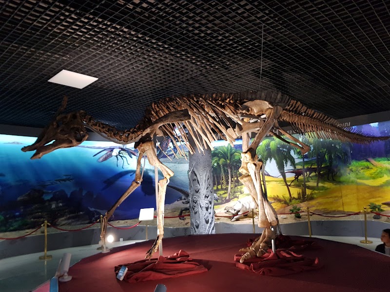 Photo 6 at National Museum of Natural Sciences, Mongolia in Ulaanbaatar