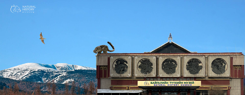 National Museum of Natural Sciences, Mongolia in Ulaanbaatar