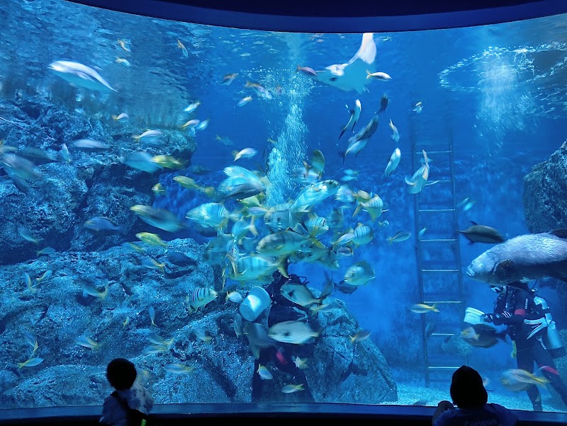 SEA LIFE Bangkok in Khwaeng Pathum Wan
