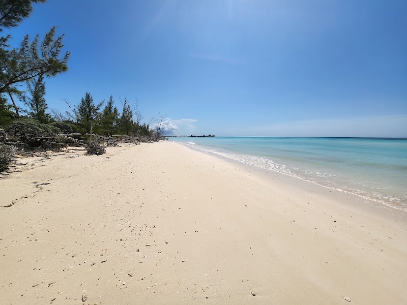 Photo 2 at Lucayan National Park in High Rock