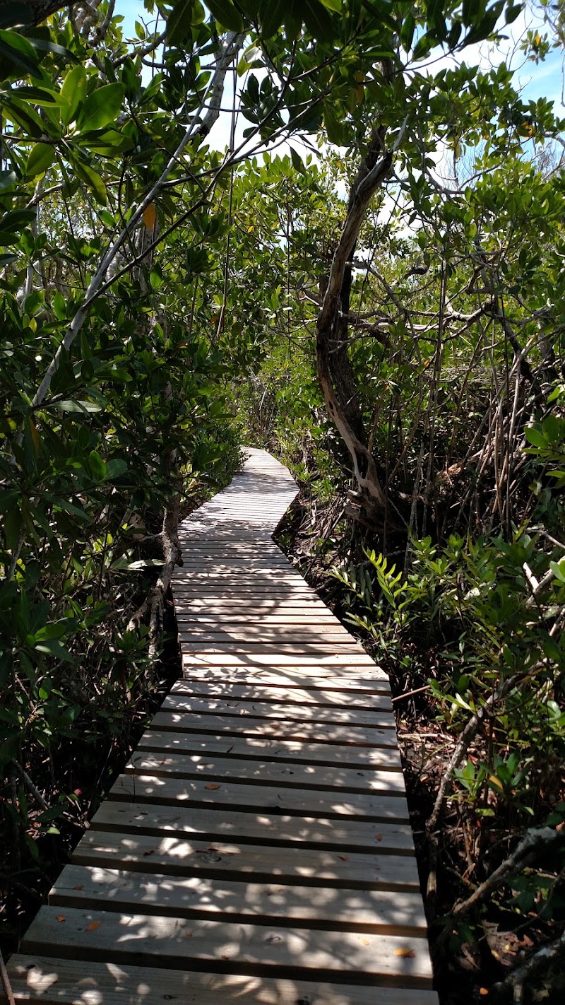 Photo 1 at Lucayan National Park in High Rock