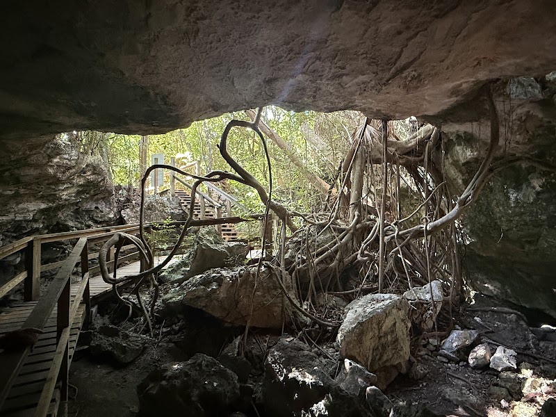 Photo 3 at Lucayan National Park in High Rock