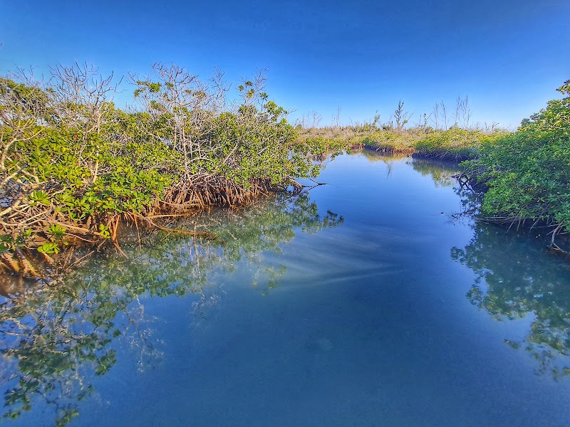 Photo 4 at Lucayan National Park in High Rock