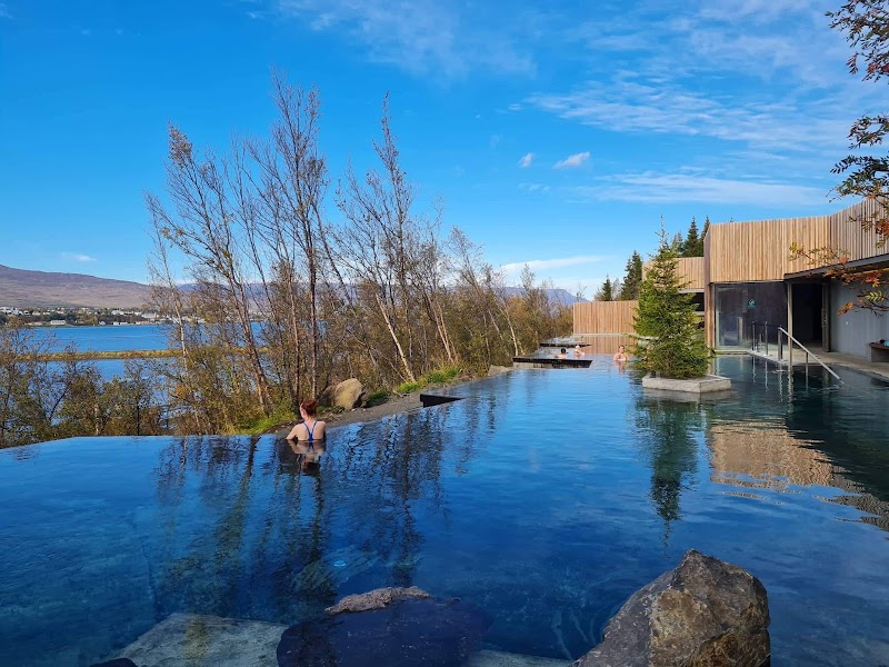 Photo 3 at Forest Lagoon in Akureyri