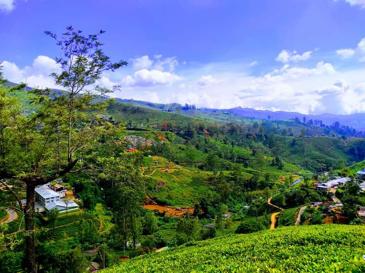 Photo 3 at Glassaugh Falls in Nuwara Eliya