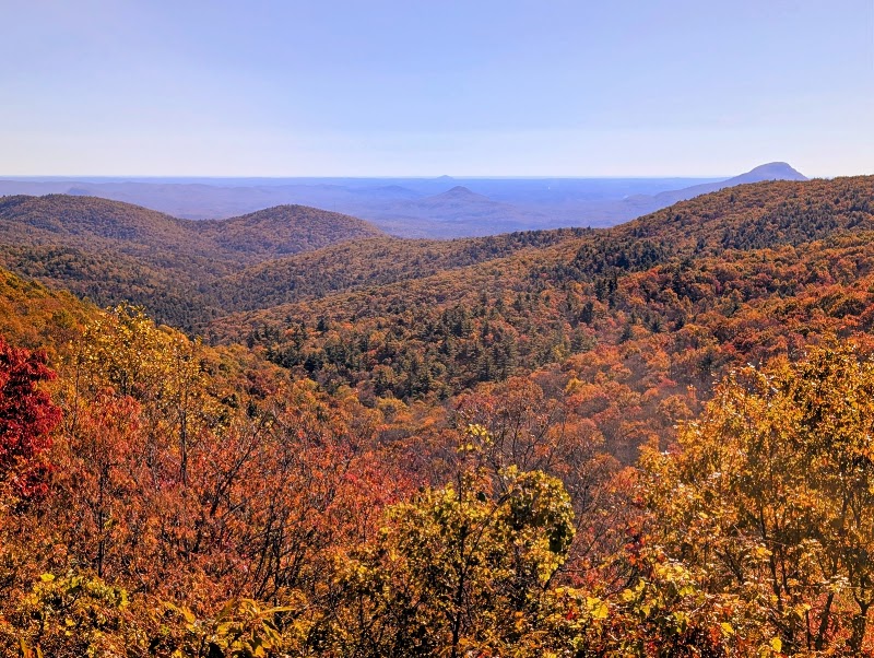 Chattahoochee-Oconee National Forest in Gainesville