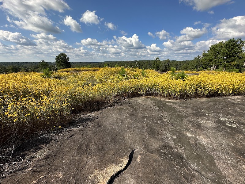 Photo 4 at Arabia Mountain National Heritage Area in Stonecrest