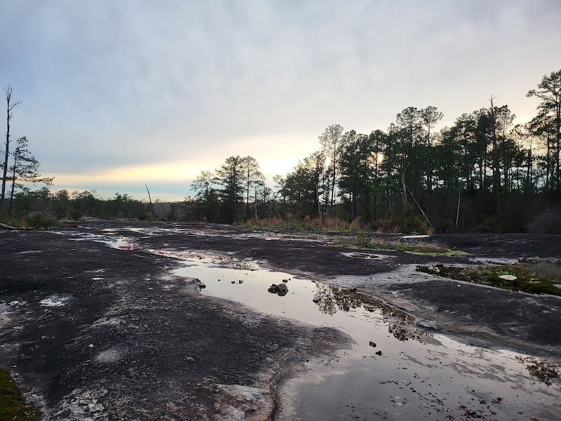 Photo 3 at Arabia Mountain National Heritage Area in Stonecrest