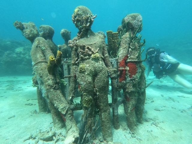 Photo 1 at Eco Dive, Grenada Blue in Morne Rouge