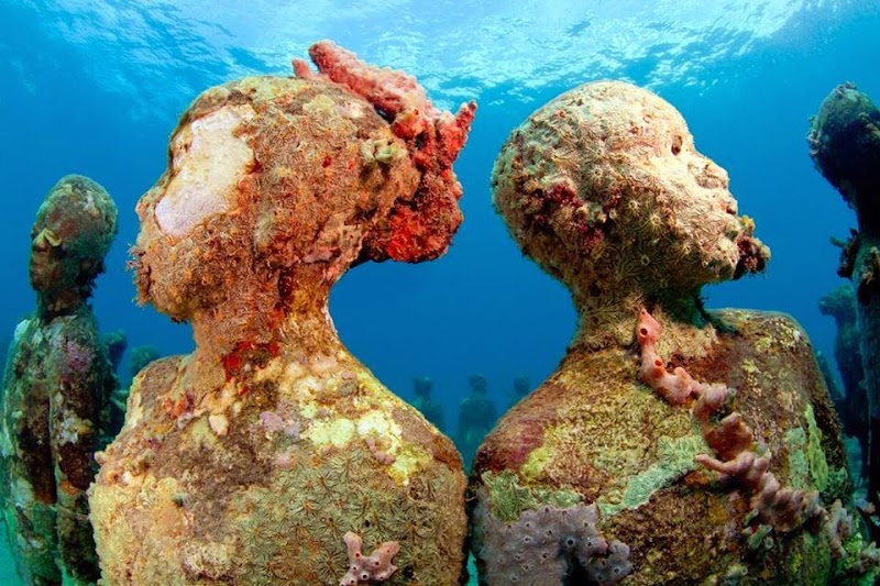 Eco Dive, Grenada Blue in Morne Rouge