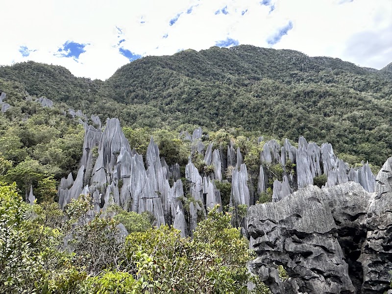 Gunung Mulu National Park in 