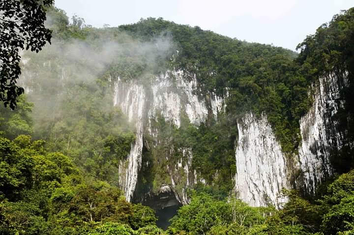 Photo 1 at Gunung Mulu National Park in 